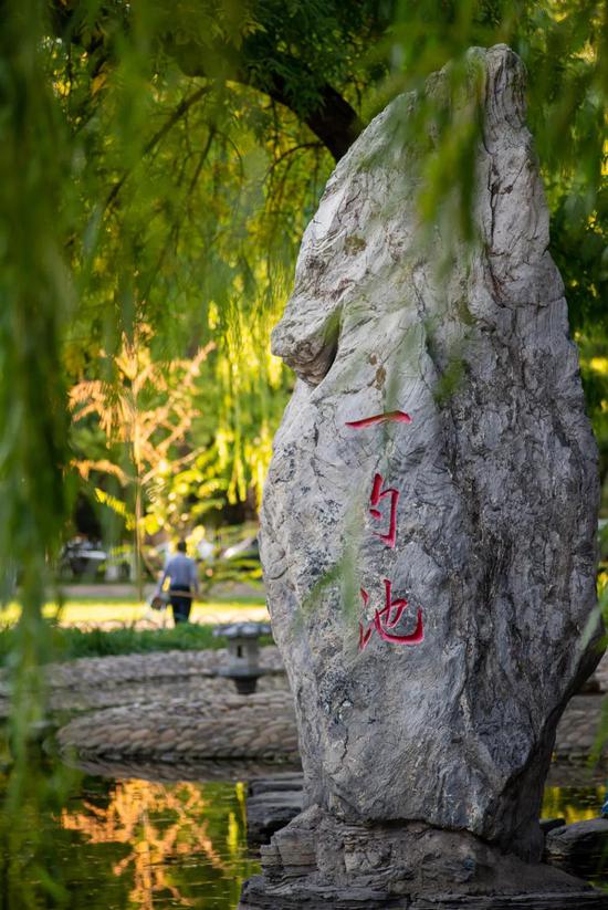 于树木最森森处 秋天轻轻悄悄地溜进来了