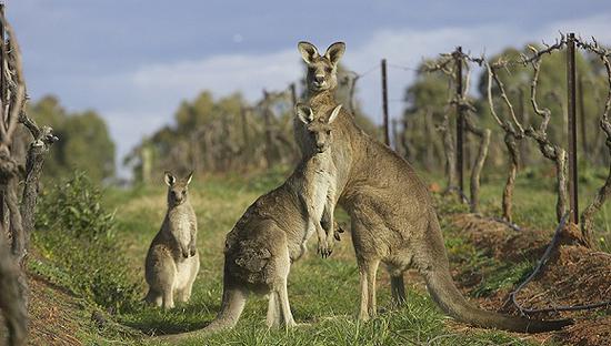 图片来源:视觉中国