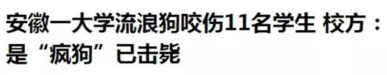 广东一大学生在校养猪被批评:宿舍能否养宠物?