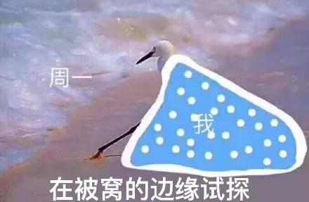 (冬天更应景)
