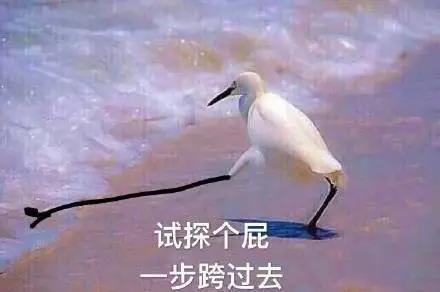 独家英译