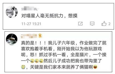 还有人指出，“云”才是论文重点吧！关注点跑偏了！