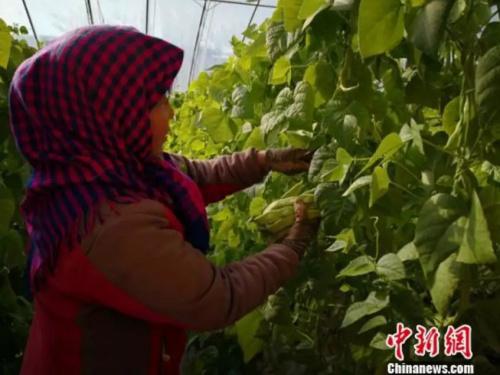 资料图,图文无关。