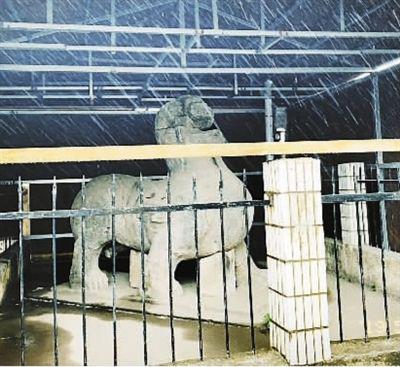 大雨中的南京初寧陵石刻 奚牧涼攝