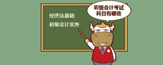 初级会计考试究竟都考什么科目