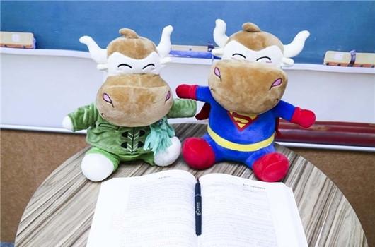 2019年注册会计师考试报名入口在哪