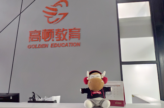注册税务师