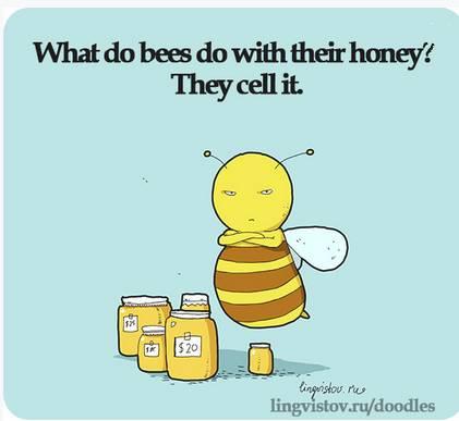 What do bees do with their honey?