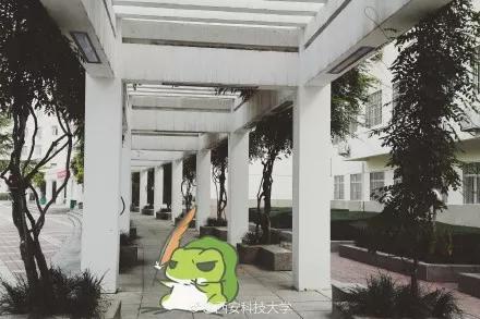“西安科技大学&旅行青蛙联名ssr写真”即将发售，敬请期待…