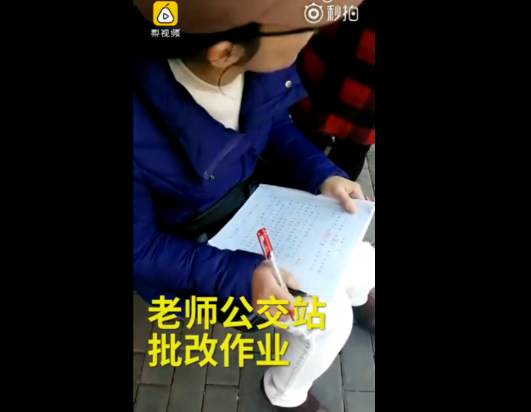 女老师边等公车边批改作文 路人:以为是学生|女