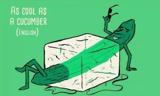 As cool as a cucumber(同黄瓜一样酷)= to be calm or relaxed(淡淡定定)