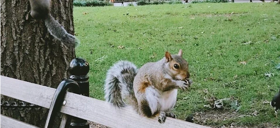 高二毕业到加拿大读高中的利弊和选择分析