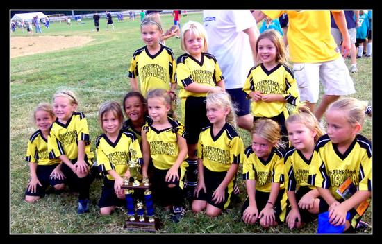 PICTURE&nbsp; IS FROM WEB