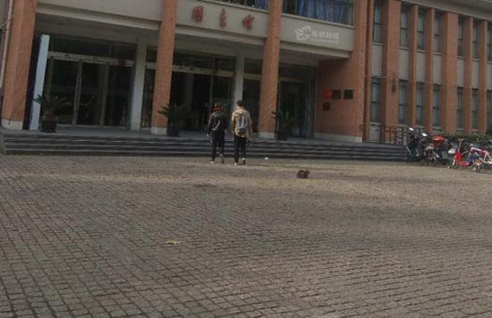 上财名师告诉你 初级会计自学能不能过