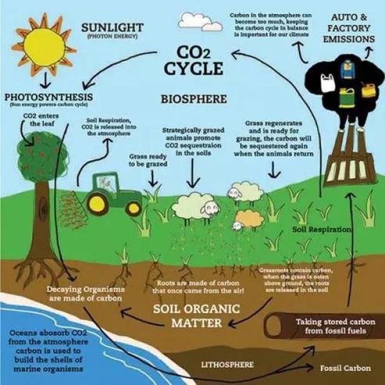 浙大90后学霸首篇一作登上《科学》：研究很接“地气”