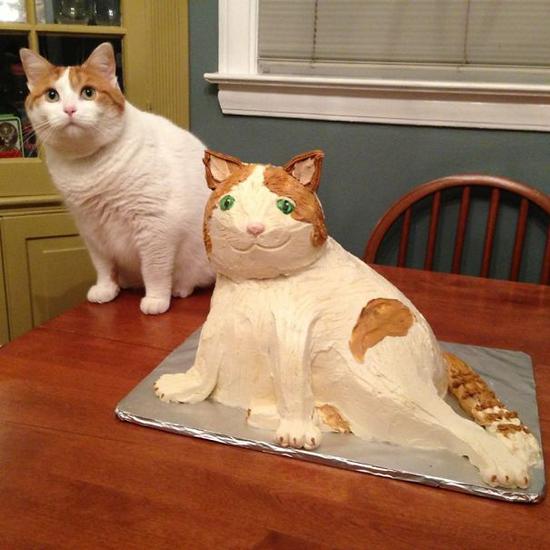 4.It's a good thing cats don't care about cake