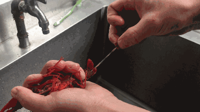 　　再从虾尾处取掉虾线