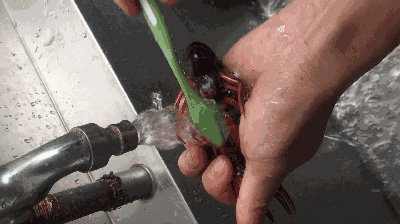 　　每一只虾子的旮旮旯旯都洗得干干净净