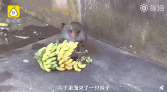 截图来源:@梨视频