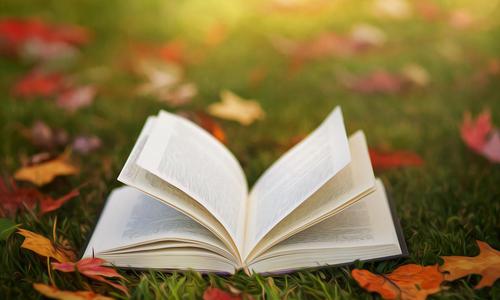 怎样选择“靠谱”的国际课程学校？