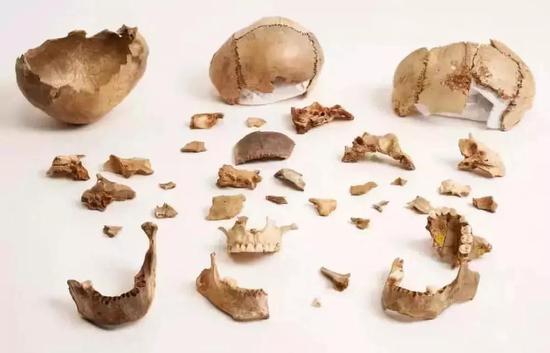 古人类的遗骨保留着同类相食的痕迹     图片来源：互联网