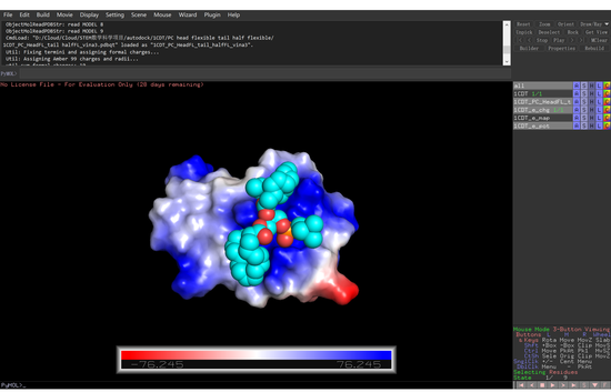  （图二：Pymol 1CDT PC相互作用）