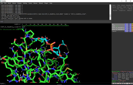  （图一：Pymol 1CDT pc head 作用位点分析）