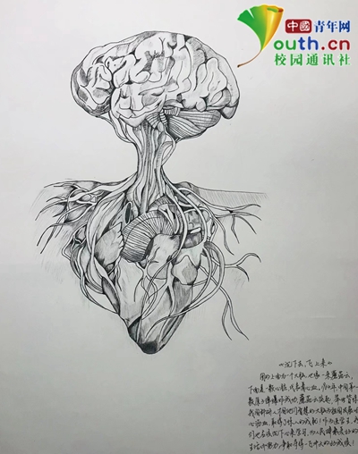 图为大学生手绘的人体主要部位和器官。湖北医药学院学通社供图