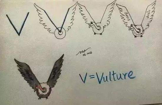 V是秃鹰