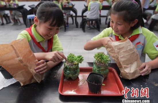 小学生在环保实践课上用废旧塑料瓶种植物。 中新网 资料图