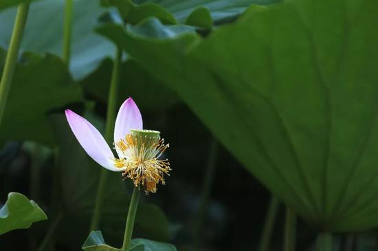 从学霸到人渣只隔了一个高考