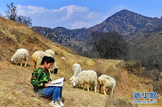 李彦昀在静乐县新开岭村的山坡上一边放羊一边复习功课（3月24日摄）。 新华社记者 曹阳 摄