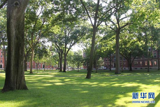 这是7月14日在美国马萨诸塞州剑桥市拍摄的哈佛大学校园。新华社发