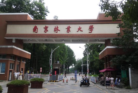 南京林业大学,蒋华松在这里工作了三十余年。新京报记者王双兴摄