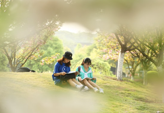 人间四月天，芳华满校园，湖南省衡阳市南华大学校园内樱花盛开。图为女生们在晨读。