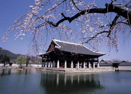 在韩国外国留学生增加 多为亚洲国家短期语言