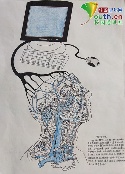 图为大学生手绘的人体主要部位和器官。湖北医药学院学通社供图