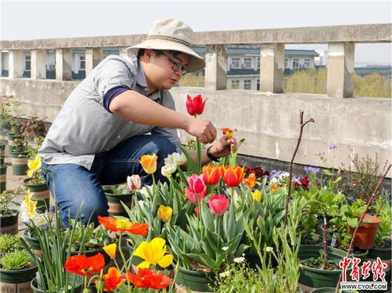 图为张聪在他的屋顶花园做日常养护工作（通讯员 胡海洋 摄）