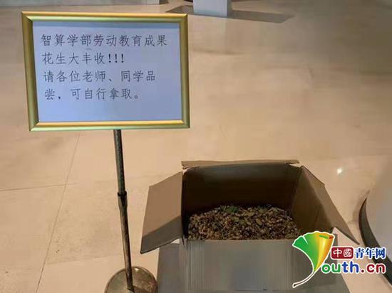 收获的粮食免费提供给师生们品尝。受访者供图