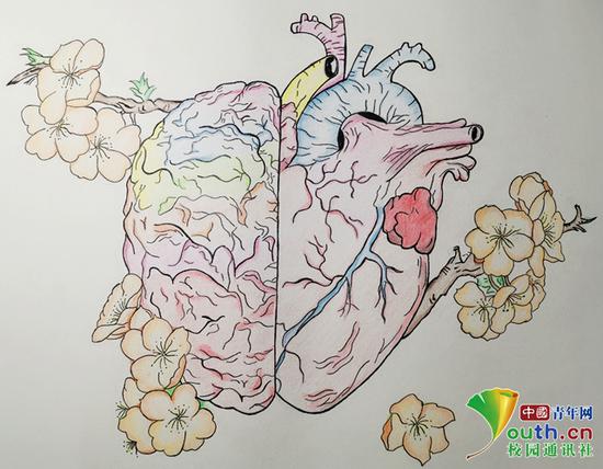 图为大学生手绘的人体主要部位和器官。湖北医药学院学通社供图