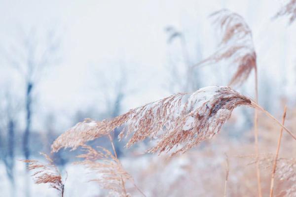 广州恒大vs墨尔本