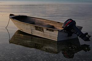 英国小男孩成最孤单学生 住小岛全校仅一人