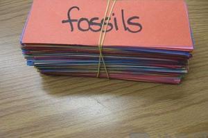 港媒：珀杜大学提高英语门槛 内地学生吃力