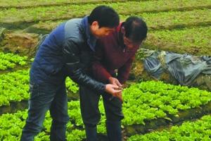 海归执着农场梦 放弃继承家族生意自创业