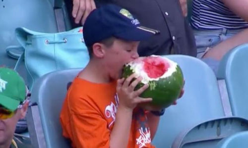 澳大利亚一名男童米切尔在现场观看球赛时，捧着大西瓜连皮狂啃的怪异食相被直播。