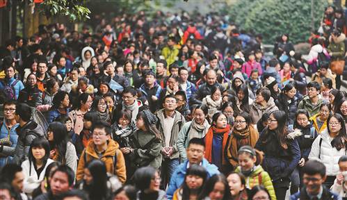 考研升温:专业型研究生渐成主流|重庆大学|高考