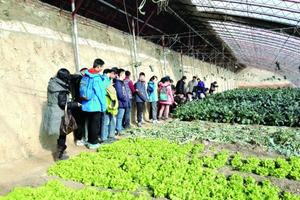 80后留法海归：用“阿甘精神”种菜