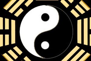 盘点那些有“中国特色”名词的英文表达|中国特色|英文_新浪教育_新浪网