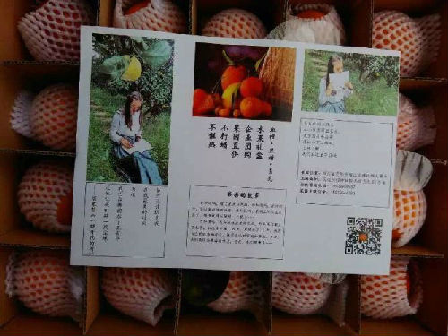 研究生休学做微商吐心声:创业不能指望朋友圈