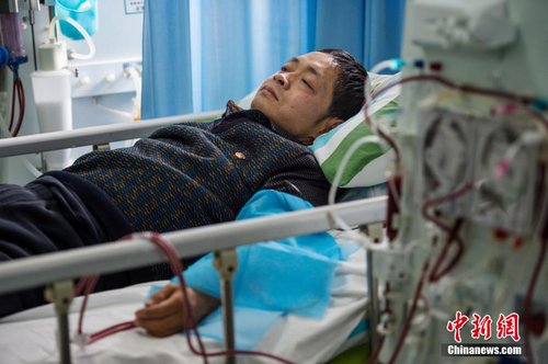 专题03 阅读理解-2024-2025学年八年级下学期英语期末复习专项训练（译林版 含答案解析）